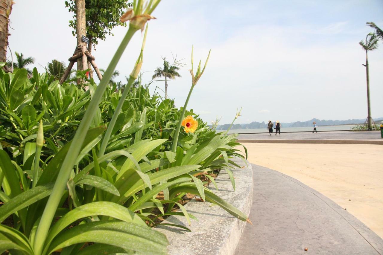 Kp Relax Halong Homestay Nan Giang Exteriör bild